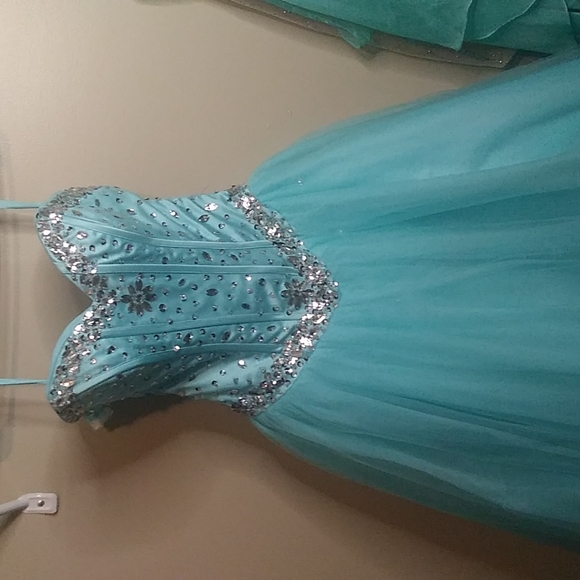 Prom/ homecoming/quinceanera dress - Picture 1 of 6